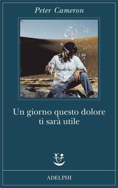 Un giorno questo dolore ti sarà utile - Peter Cameron